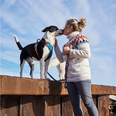 Show full view: Hurtta Weekend Warrior Warming Eco Dog & Cat Harness, Bilberry Mix, 24 to 32-in chest slide 3 of 8