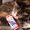 Show in main carousel: Huxley & Kent Cat Cats Blue Ribbon Cat Toy, White/Red/Blue slide 6 of 8