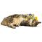 Show in main carousel: Huxley & Kent Cat Flufferfinger Cat Toy, Yellow/Blue slide 6 of 6