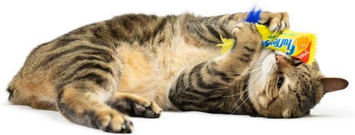 Show full view: Huxley & Kent Cat Flufferfinger Cat Toy, Yellow/Blue slide 6 of 6