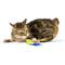 Show in main carousel: Huxley & Kent Cat Flufferfinger Cat Toy, Yellow/Blue slide 5 of 6
