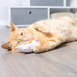 Huxley & Kent Cat Go Fish Phishy Cat Toy, White/Orange slide 2 of 9