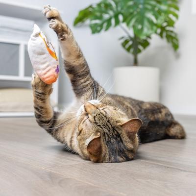 Show full view: Huxley & Kent Cat Go Fish Phishy Cat Toy, White/Orange slide 7 of 9