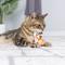 Show in main carousel: Huxley & Kent Cat Go Fish Phishy Cat Toy, White/Orange slide 5 of 9