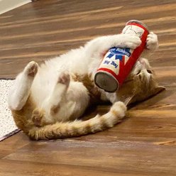 Huxley & Kent Cat Kicker Cats Belly Rubbin Cat Toy, Red/White/Blue slide 2 of 9
