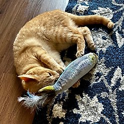Huxley & Kent Cat Kicker Sardine Cat Toy, Gray slide 2 of 9