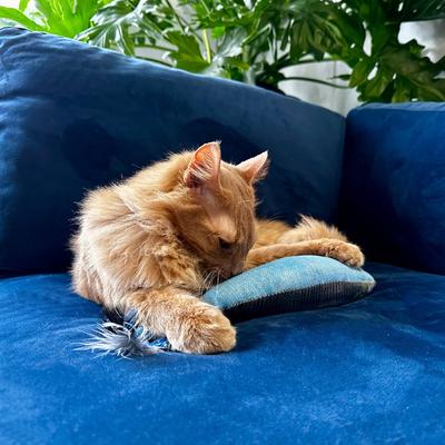 Show full view: Huxley & Kent Cat Kicker Sardine Cat Toy, Gray slide 8 of 11