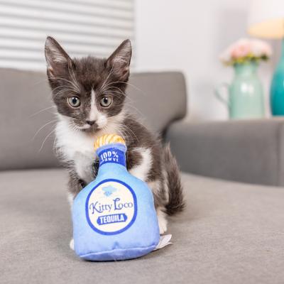 Show full view: Huxley & Kent Cat Kitty Loco Tequila Cat Toy, Blue slide 10 of 11