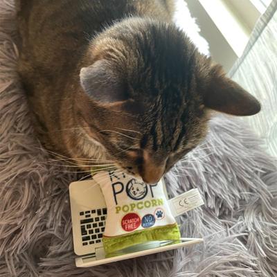 Show full view: Huxley & Kent Cat Kitty Pop Cat Toy, White/Green/Red slide 9 of 10