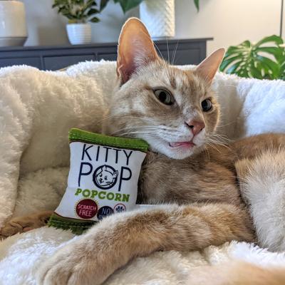 Show full view: Huxley & Kent Cat Kitty Pop Cat Toy, White/Green/Red slide 8 of 10