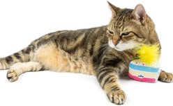 Huxley & Kent Cat Meh' A Wish Cake Cat Toy, Blue/Yellow/Pink slide 2 of 5