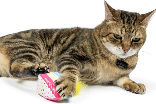 Show full view: Huxley & Kent Cat Meh' A Wish Cake Cat Toy, Blue/Yellow/Pink slide 5 of 6