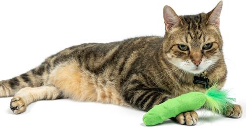 Show full view: Huxley & Kent Cat Pickle Cat Toy, Green slide 6 of 6