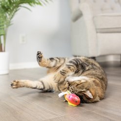 Huxley & Kent Cat Rainbow Guppy Cat Toy, Red/Yellow slide 2 of 9