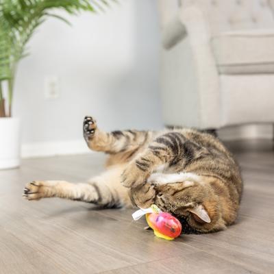 Show full view: Huxley & Kent Cat Rainbow Guppy Cat Toy, Red/Yellow slide 9 of 10