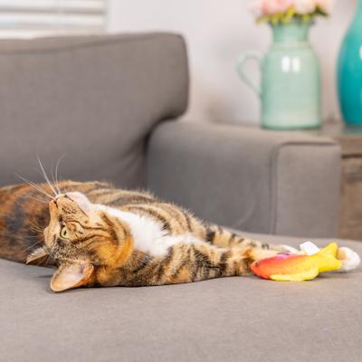 Show full view: Huxley & Kent Cat Rainbow Guppy Cat Toy, Red/Yellow slide 6 of 10