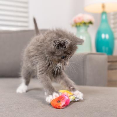 Show full view: Huxley & Kent Cat Rainbow Guppy Cat Toy, Red/Yellow slide 4 of 10