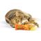 Show in main carousel: Huxley & Kent Cat Roscos Fluffer Puffs Cat Toy, Orange slide 6 of 6