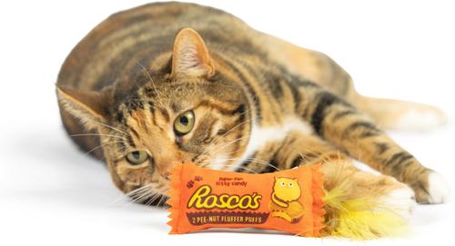 Show full view: Huxley & Kent Cat Roscos Fluffer Puffs Cat Toy, Orange slide 6 of 6