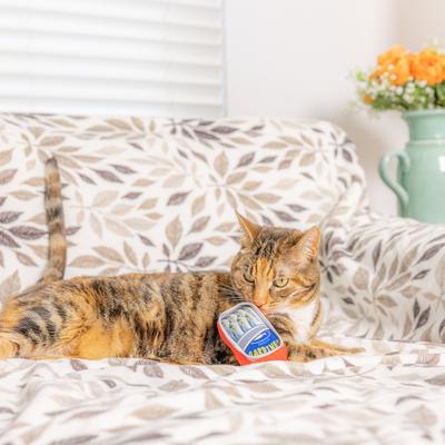 Show full view: Huxley & Kent Cat Sardine Tin Cat Toy, Brown slide 4 of 7