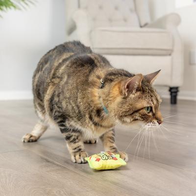 Show full view: Huxley & Kent Cat Sour Scratch Kats Cat Toy, Yellow/Green/Red slide 8 of 10