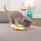 Show in main carousel: Huxley & Kent Cat Sour Scratch Kats Cat Toy, Yellow/Green/Red slide 5 of 10