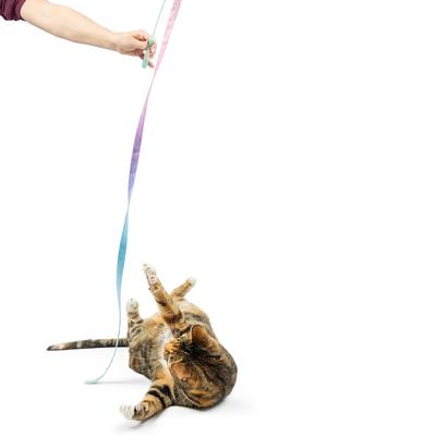 Show full view: Huxley & Kent Cat Wand Dance & Lure Pastel Cat Toy slide 5 of 9