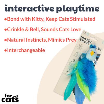 Show full view: Huxley & Kent Cat Wand Refill 2 Pack Birdy Feather Teasers Cat Toy, Blue slide 2 of 5