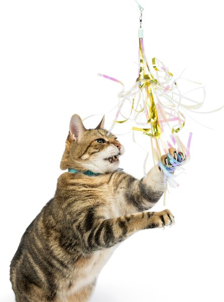 Huxley & Kent Cat Wand Refill 2 Pack Purrs Light Streamers Cat Toy, Gray/Red