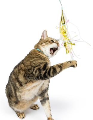 Show full view: Huxley & Kent Cat Wand Refill 2 Pack Buzz Bee Streamers Cat Toy, Yellow/Black slide 5 of 7