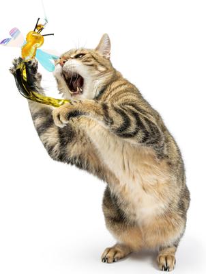 Show full view: Huxley & Kent Cat Wand Refill 2 Pack Buzz Bee Streamers Cat Toy, Yellow/Black slide 4 of 7