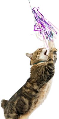 Show full view: Huxley & Kent Cat Wand Refill 2 Pack Dragonfly Streamers Cat Toy, Purple slide 4 of 5