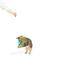 Show in main carousel: Huxley & Kent Cat Wand Refill 2 Pack Kitty Klaw Lime Feather Teasers Cat Toy, Green/Teal slide 5 of 6