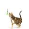 Show in main carousel: Huxley & Kent Cat Wand Refill 2 Pack Kitty Klaw Lime Feather Teasers Cat Toy, Green/Teal slide 4 of 6