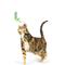 Show in main carousel: Huxley & Kent Cat Wand Refill 2 Pack Kitty Klaw Lime Feather Teasers Cat Toy, Green/Teal slide 3 of 6