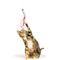 Show in main carousel: Huxley & Kent Cat Wand Refill 2 Pack Purrs Light Streamers Cat Toy, Gray/Red slide 3 of 5