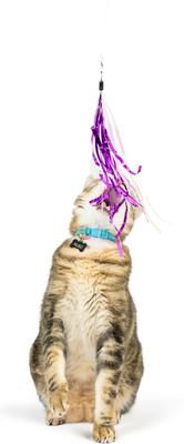 Show full view: Huxley & Kent Cat Wand Refill 3 Pack Pink Mouse Tails Teasers Cat Toy, Pink/Gray slide 5 of 9