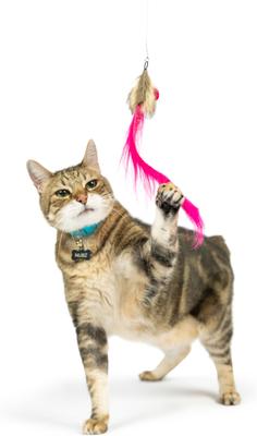 Show full view: Huxley & Kent Cat Wand Refill 3 Pack Pink Mouse Tails Teasers Cat Toy, Pink/Gray slide 3 of 9