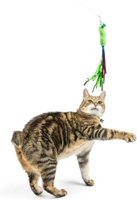 Show full view: Huxley & Kent Cat Wand Refill 3 Pack Snacky Teasers Cat Toy, Green/Yellow/Tan/Red slide 5 of 6