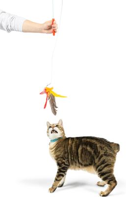 Show full view: Huxley & Kent Cat Wand Teaser Hairball Whisky Cat Toy, Tan/Red slide 6 of 10