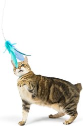 Huxley & Kent Cat Wand Teaser Kitty Loco Cat Toy, Blue slide 2 of 9