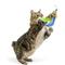 Show in main carousel: Huxley & Kent Cat Wand Teaser Sour Scratch Cat Toy, Green/Blue/Yellow slide 7 of 11