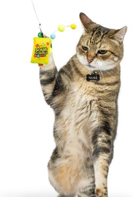 Show full view: Huxley & Kent Cat Wand Teaser Sour Scratch Cat Toy, Green/Blue/Yellow slide 4 of 11