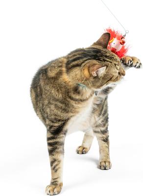 Show full view: Huxley & Kent Cat Wand Wire Birdy & Mouse Cat Toy, Red/Gray/Blue slide 5 of 9