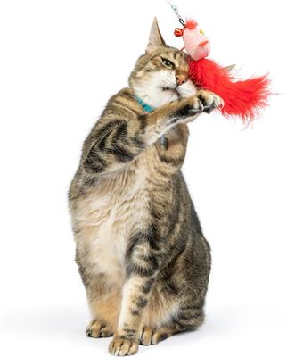 Show full view: Huxley & Kent Cat Wand Wire Birdy & Mouse Cat Toy, Red/Gray/Blue slide 4 of 9