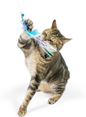 Show full view: Huxley & Kent Cat Wand Wire Dragonfly & Mouse Cat Toy, Blue/Gray/Yellow slide 4 of 11