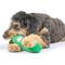 Show in main carousel: Huxley & Kent Dog Fetchies Dell Pickle Dog Toy, Green, Small slide 5 of 10