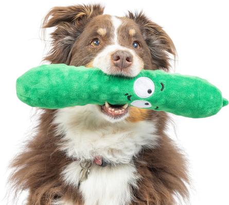 Show full view: Huxley & Kent Dog Fetchies Dell Pickle Dog Toy, Green, Small slide 7 of 10