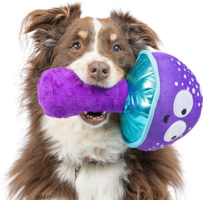 Show full view: Huxley & Kent Dog Fetchies Mellow Mushroom Dog Toy, Purple/Blue, Large slide 6 of 8
