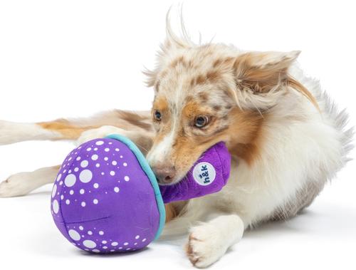 Show full view: Huxley & Kent Dog Fetchies Mellow Mushroom Dog Toy, Purple/Blue, Small slide 5 of 8